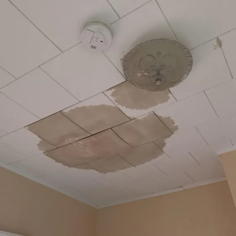 Ceiling Water Damage Repair in Floris, VA