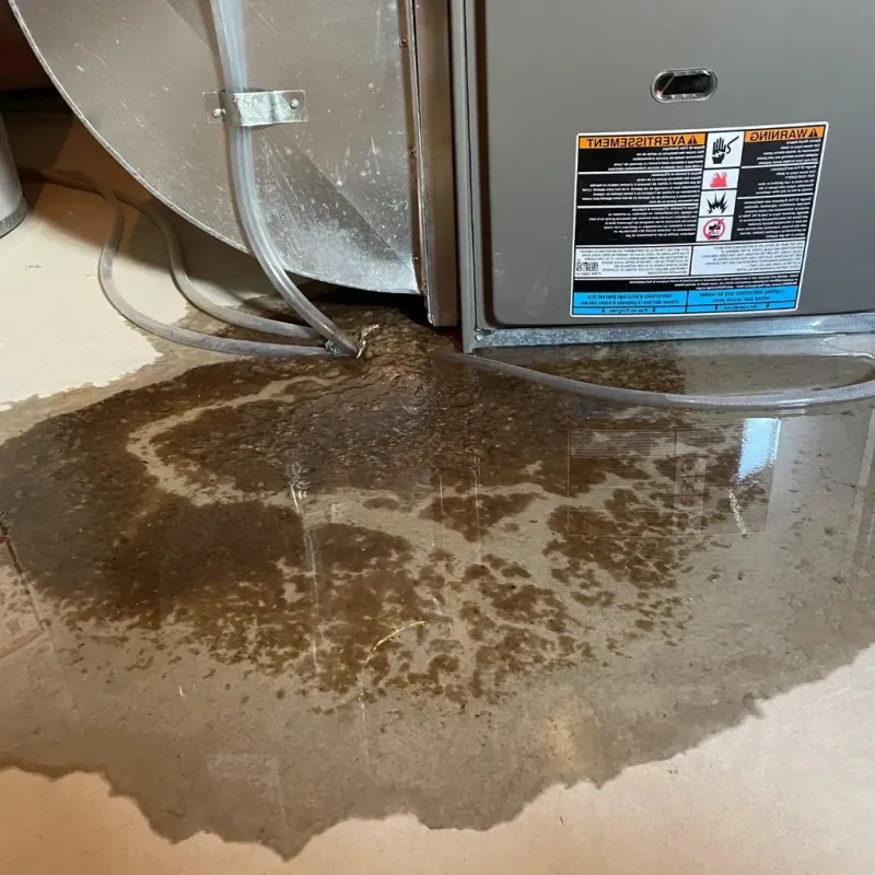 Pipe Burst and Leak Restoration in Floris, VA