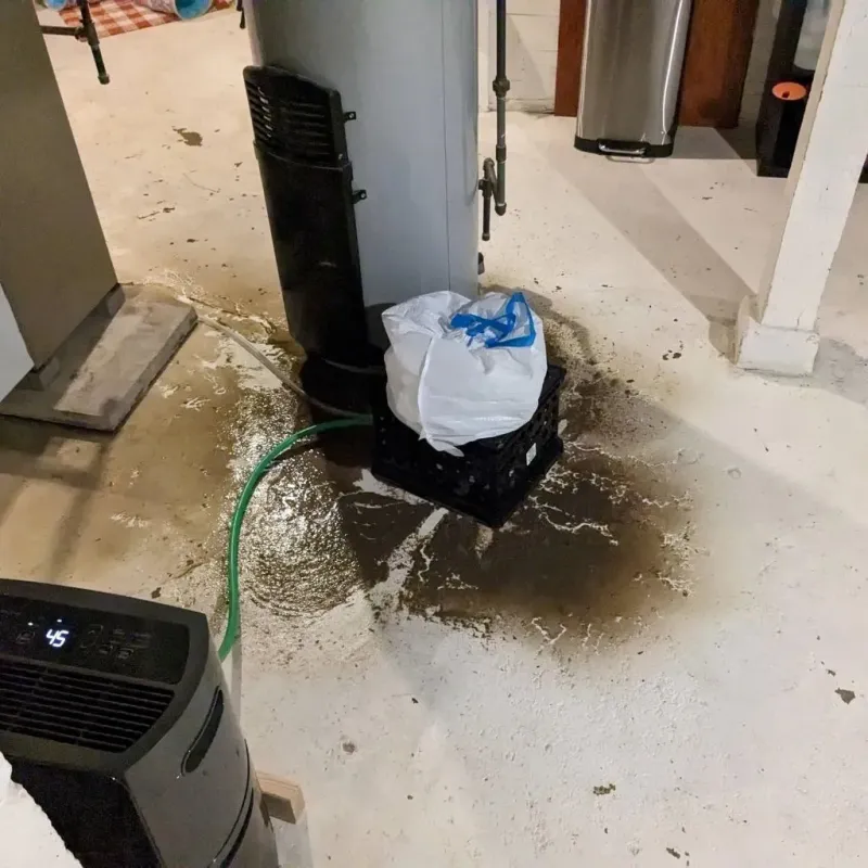 Sewage Backup Cleanup Service in Floris, VA